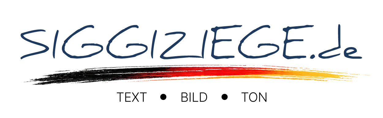 szde Logo
